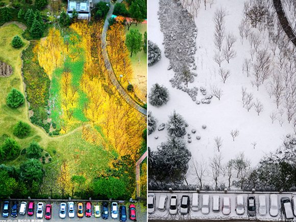 Shandong: from golden forest to snow land within 3 days
