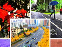 Colorful 2015 | most popular natural sceneries in Shanghai
