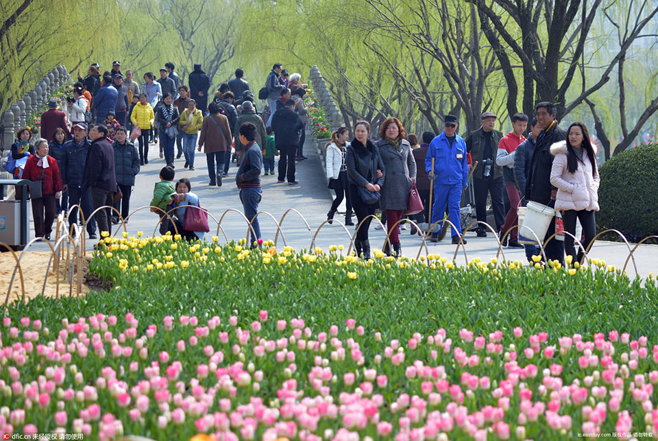 2016 Tulip Show opened in Daning Lingshi Park (4)