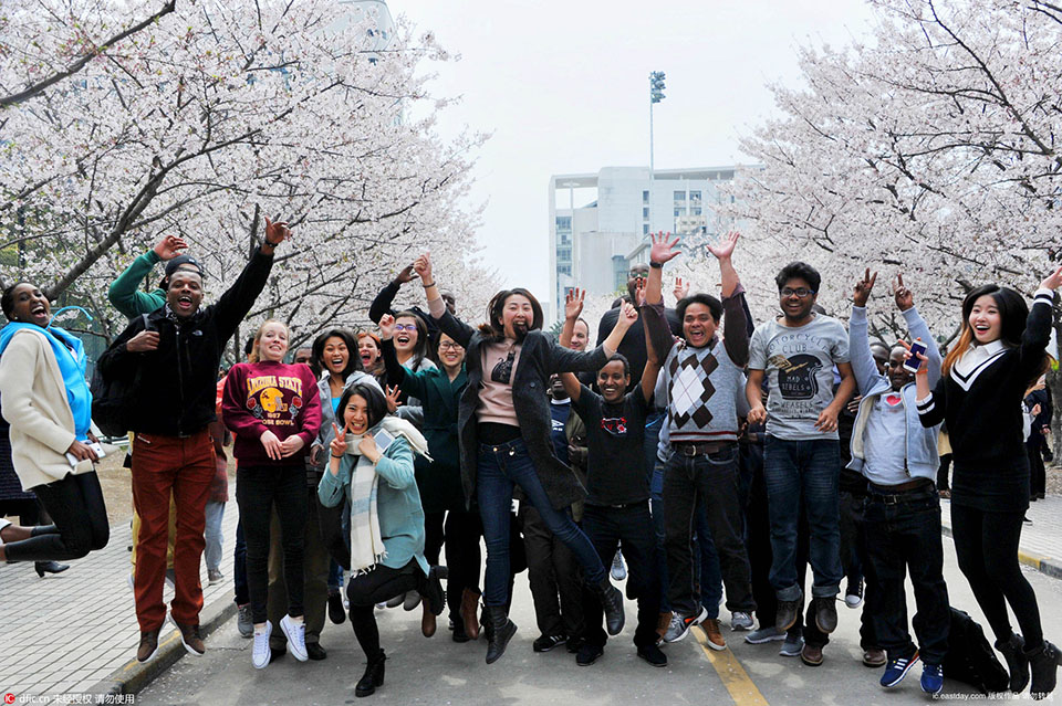 International students take photos with cherry blossoms as background at Tongji University (3)