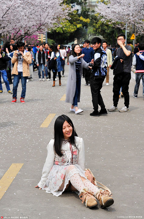 International students take photos with cherry blossoms as background at Tongji University (5)