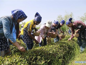 Foreign students experience Chinese tea culture in E China