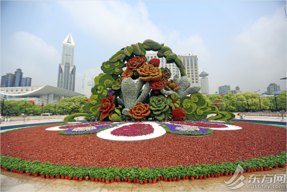Largest flower feature in town blooms into life