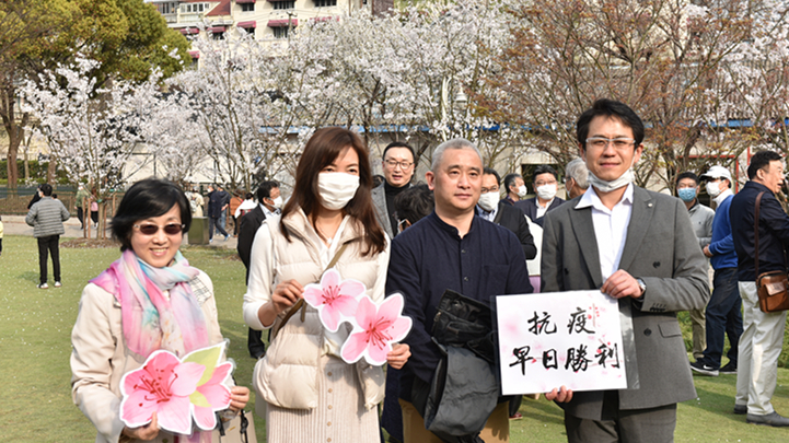 People pray for peaceful world among cherry blossoms 