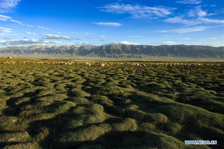 Amazing scenery of Barkol grassland in China