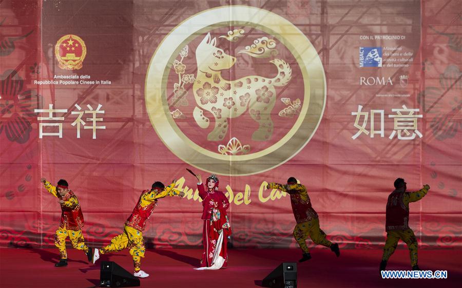 Celebration held in Rome to greet upcoming Chinese Lunar New Year