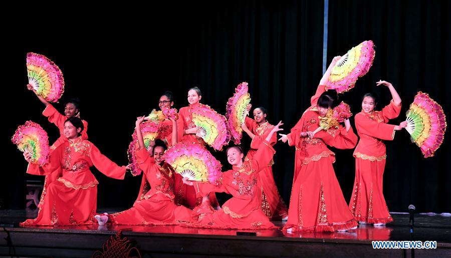American students perform to celebrate Chinese New Year in Washington D.C.