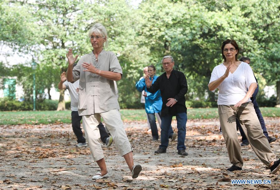 Free Chinese Tai Chi class attracts many local residents in Brussels, Belgium