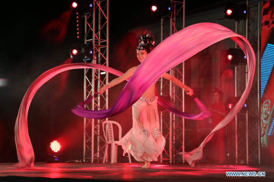 6th Chinese Cultural Night held in Cyprus