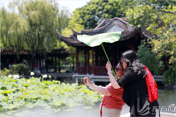 Guyi Garden to host 9th Shanghai Lotus and Water Lily Exhibition