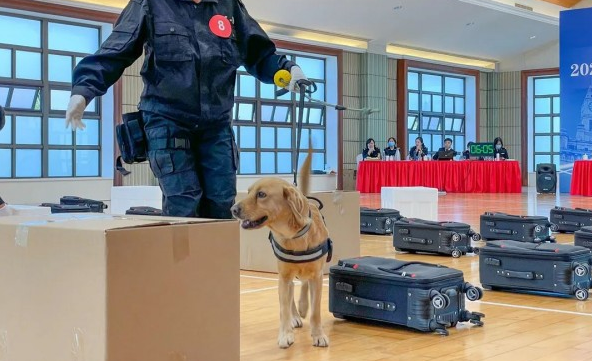 Dogs get exams before police work