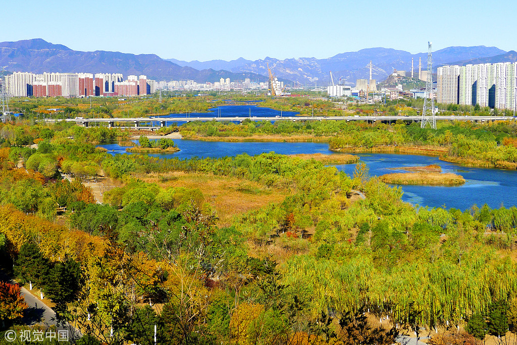 Beijing completes 70% of forestation target